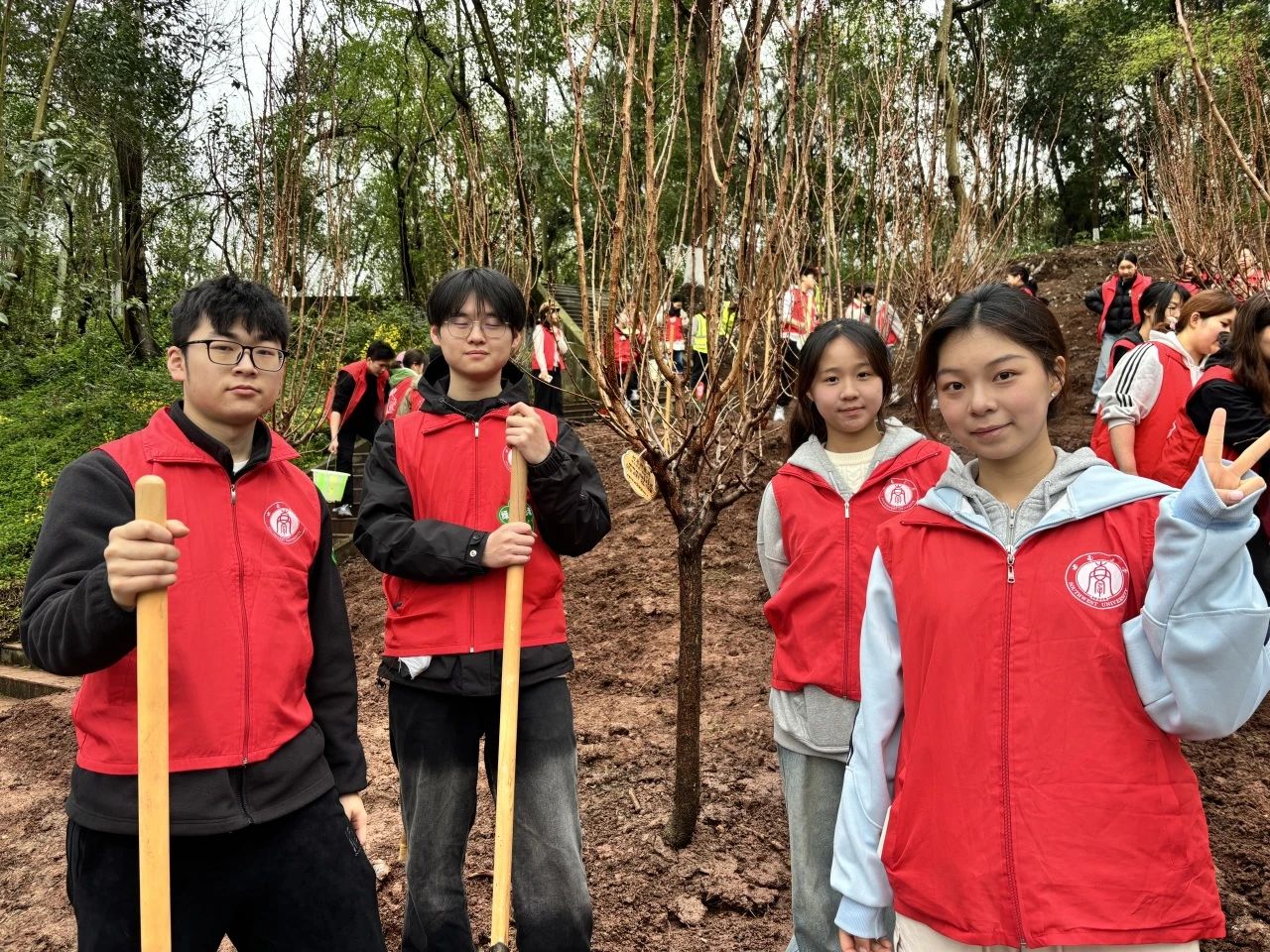 365英国上市集团